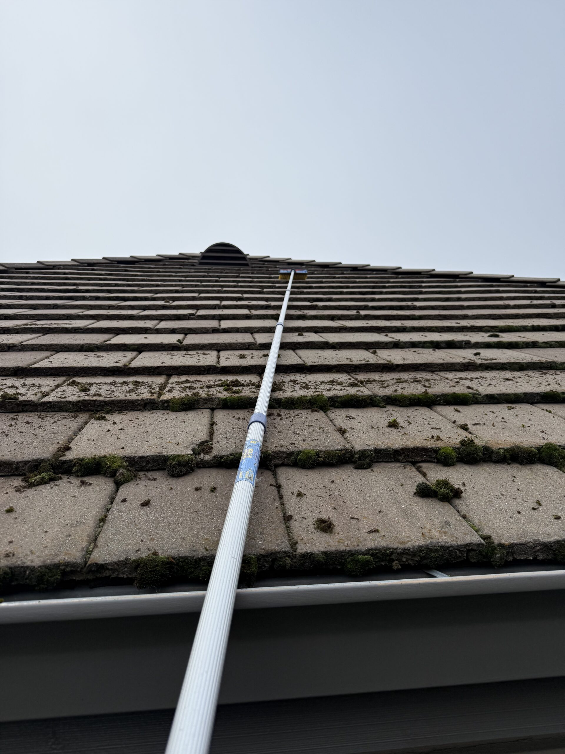 Roof moss removal in el dorado hills